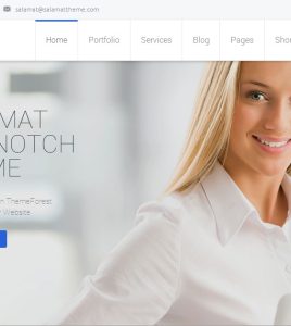 Business Template 80