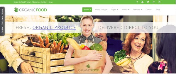 Premium Themes 34