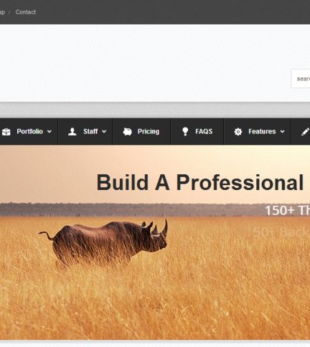 Premium Themes 74