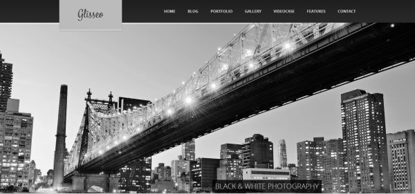 Business Template 151