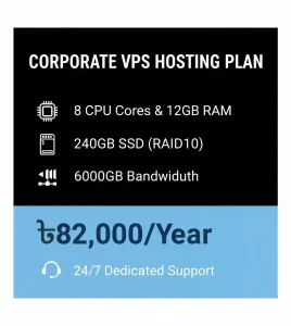 Corporate VPS Hosting Plan