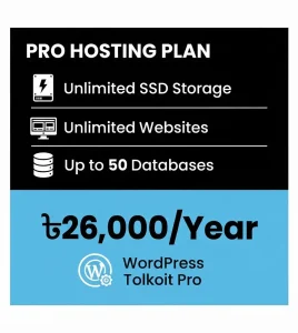 Pro Hosting Plan